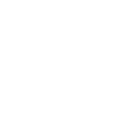 Opendoor Technologies Inc Share Price